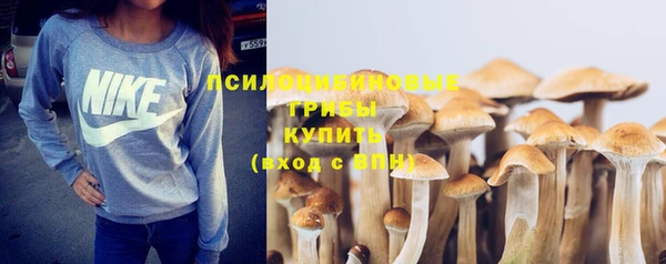 винт Володарск