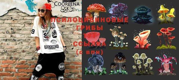 ECSTASY Волосово
