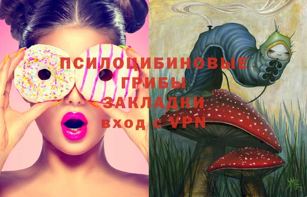 гашик Волоколамск