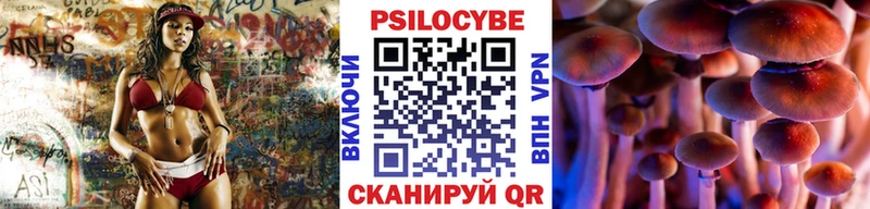 Псилоцибиновые грибы Cubensis  Петров Вал 